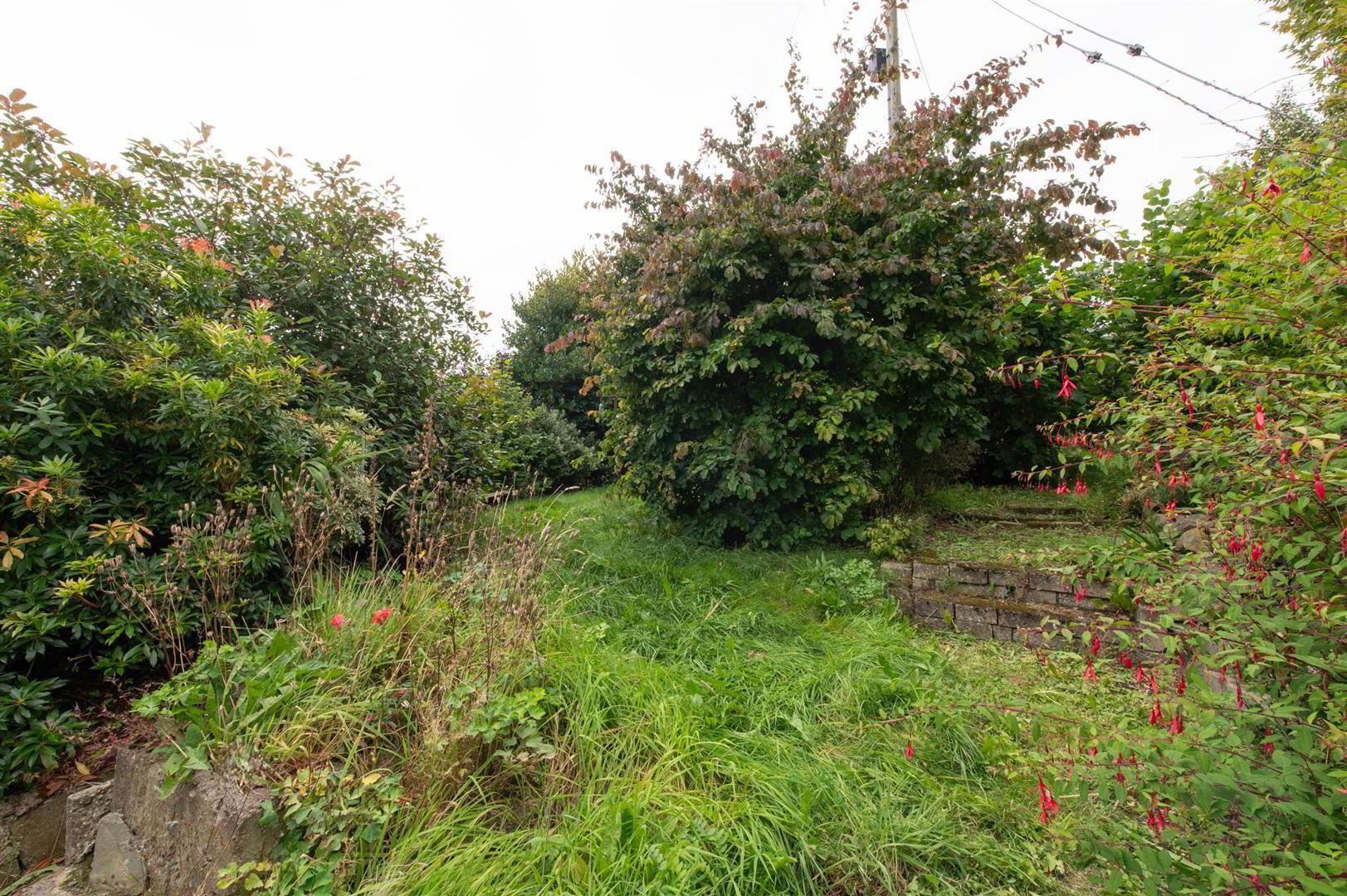 81 Poyntzpass Road 35 of 36