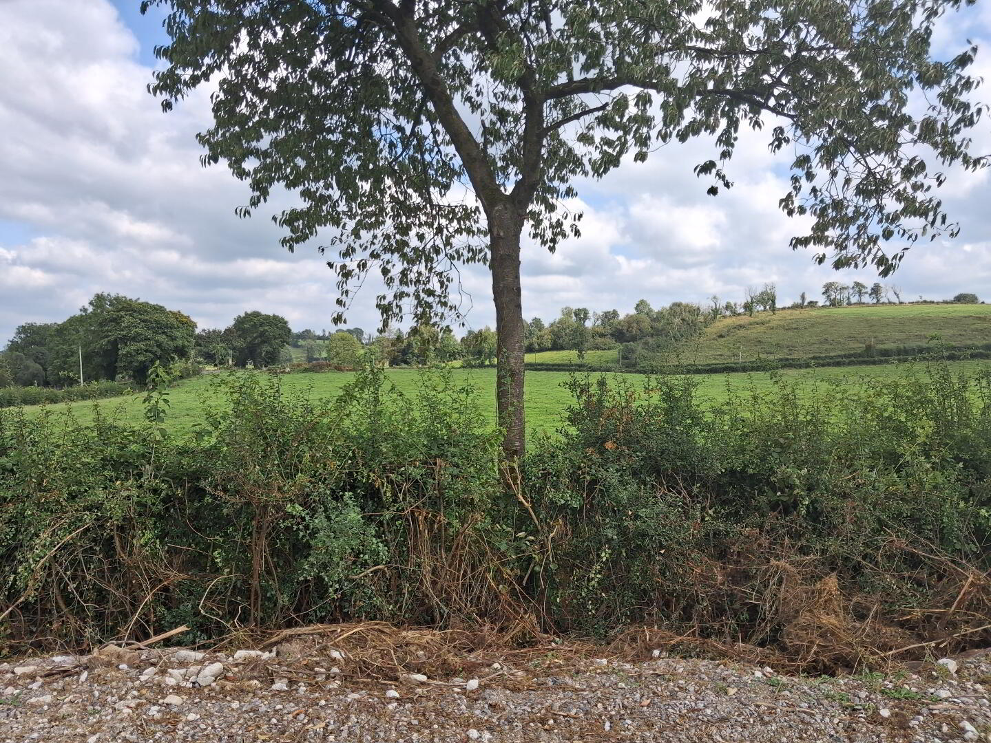 Kilmacbrack 3 of 18