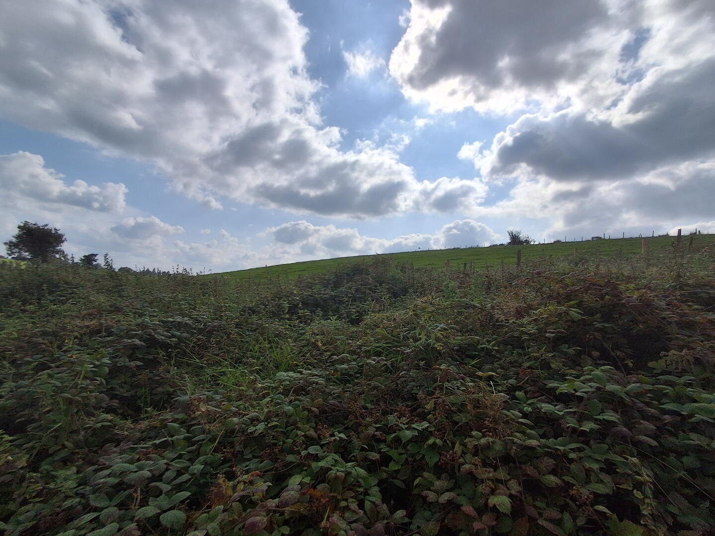 Kilmacbrack 5 of 18