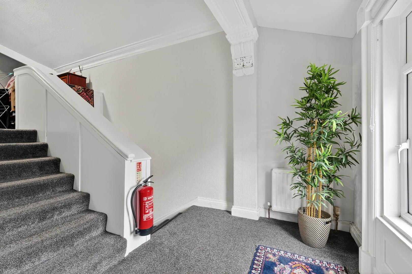 Apt 5, 62 Malone Road 7 of 23