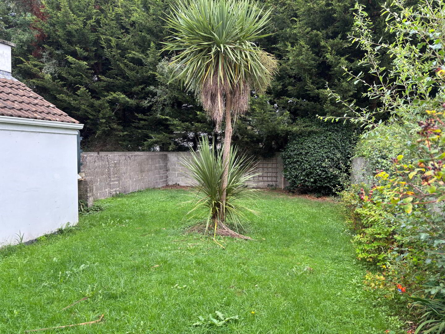 Sonas, 67 Scrahan Mews 8 of 9