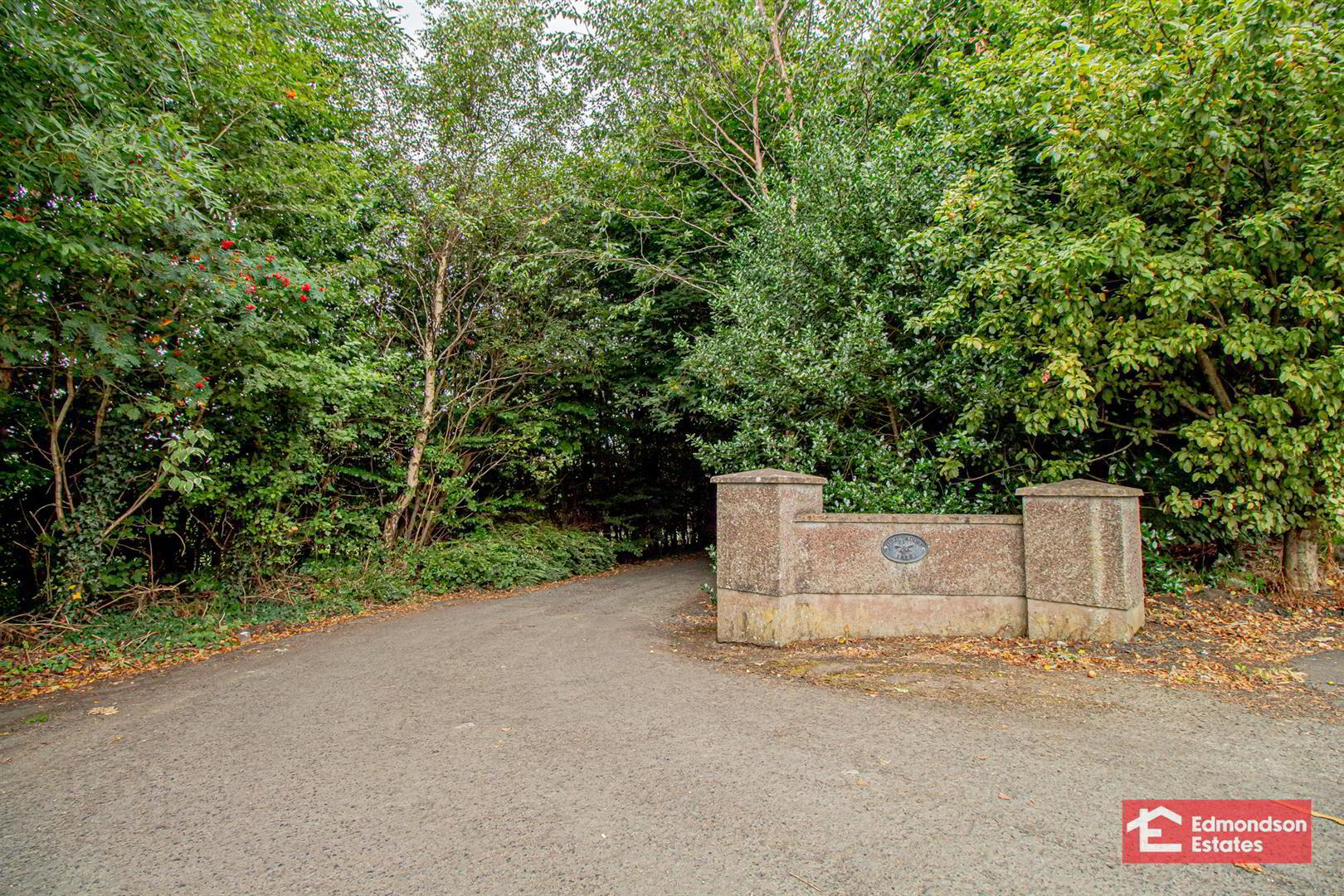 4 Tullyvadden Lane 45 of 49