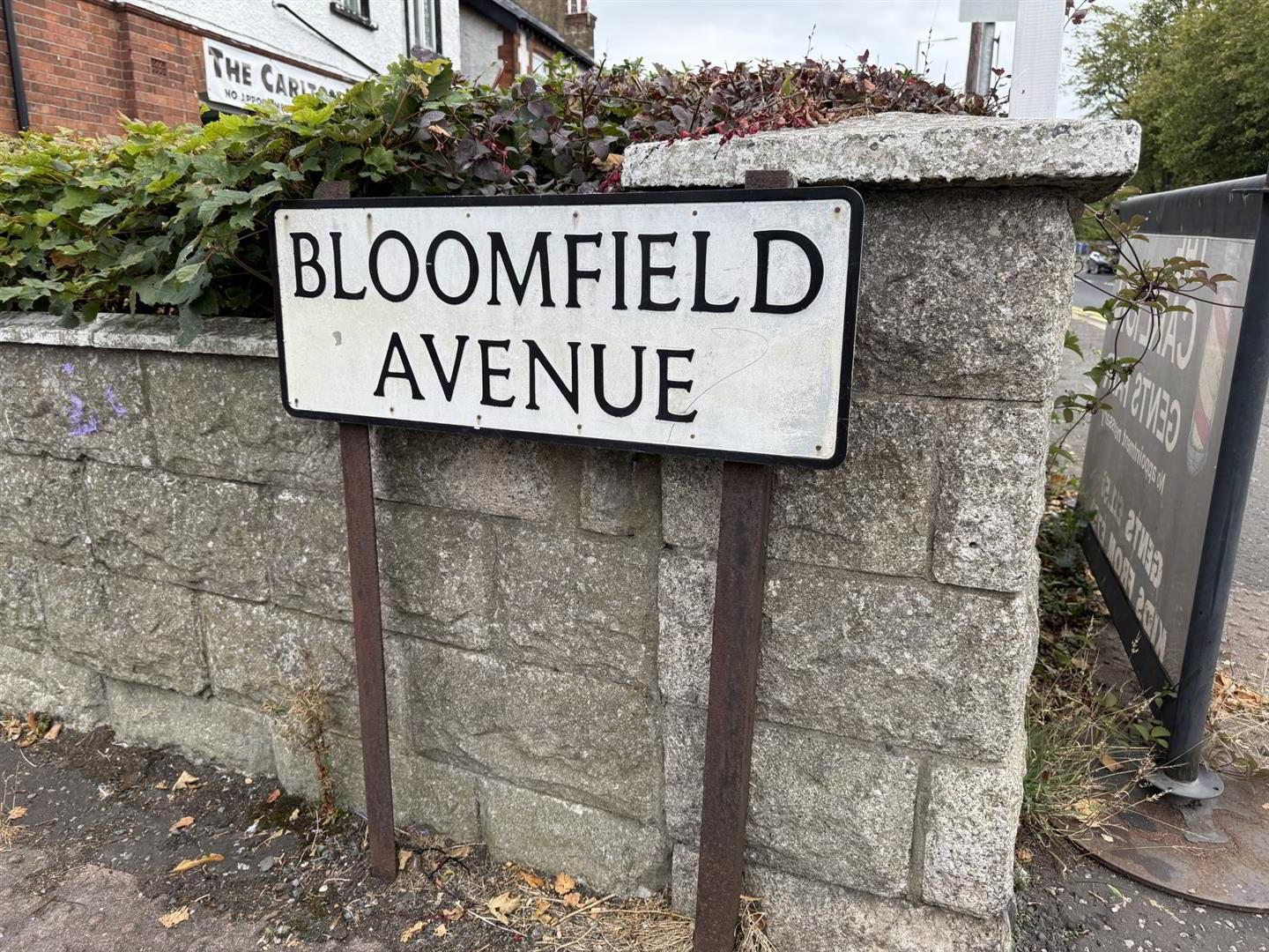 124 Bloomfield Avenue 6 of 9