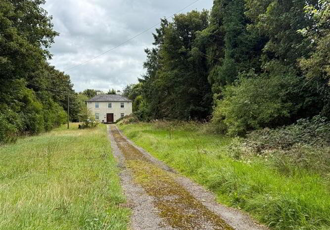 Corskeagh 3 of 40