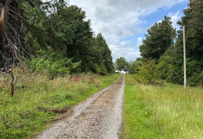 Corskeagh 29 of 40