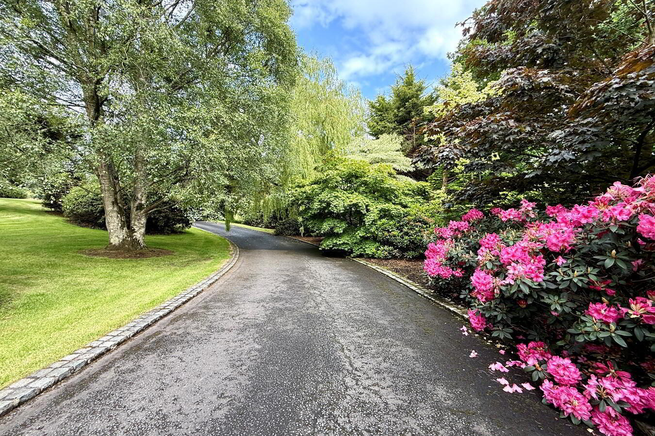 48 Manse Road 35 of 50