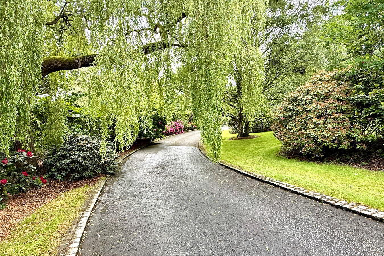 48 Manse Road 36 of 50