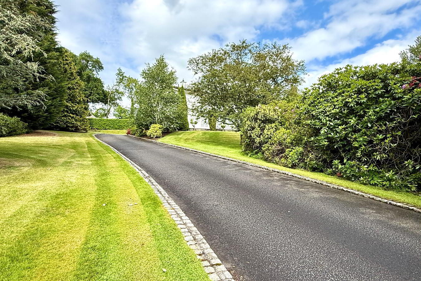 48 Manse Road 39 of 50