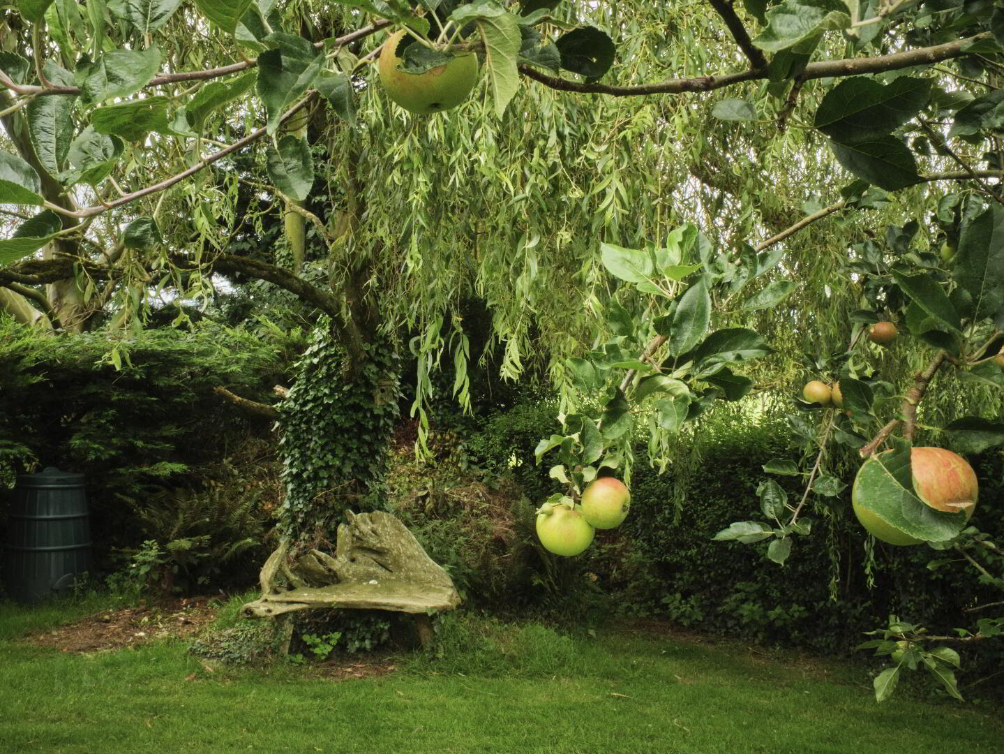 FUCHSIA HOUSE, Carrigeen 20 of 26