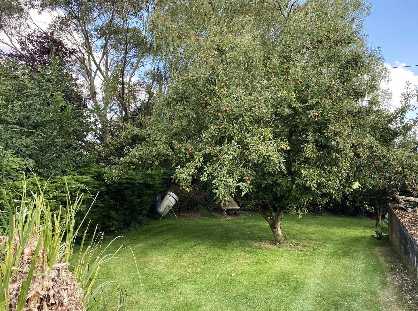 FUCHSIA HOUSE, Carrigeen 23 of 26
