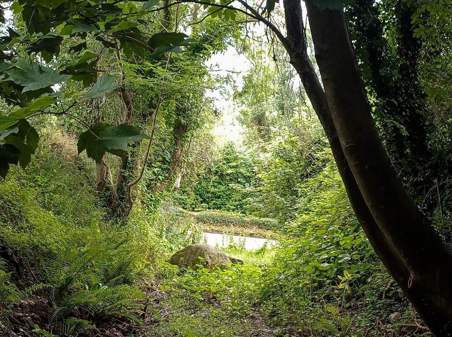 The Mews, Rathmichael Road 35 of 38