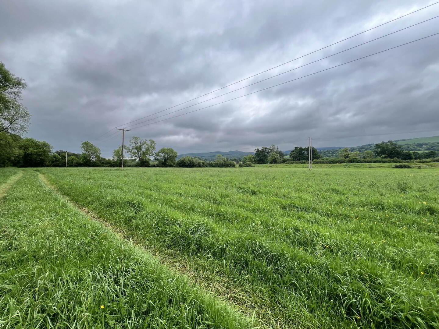 Kilgainey 12 of 19
