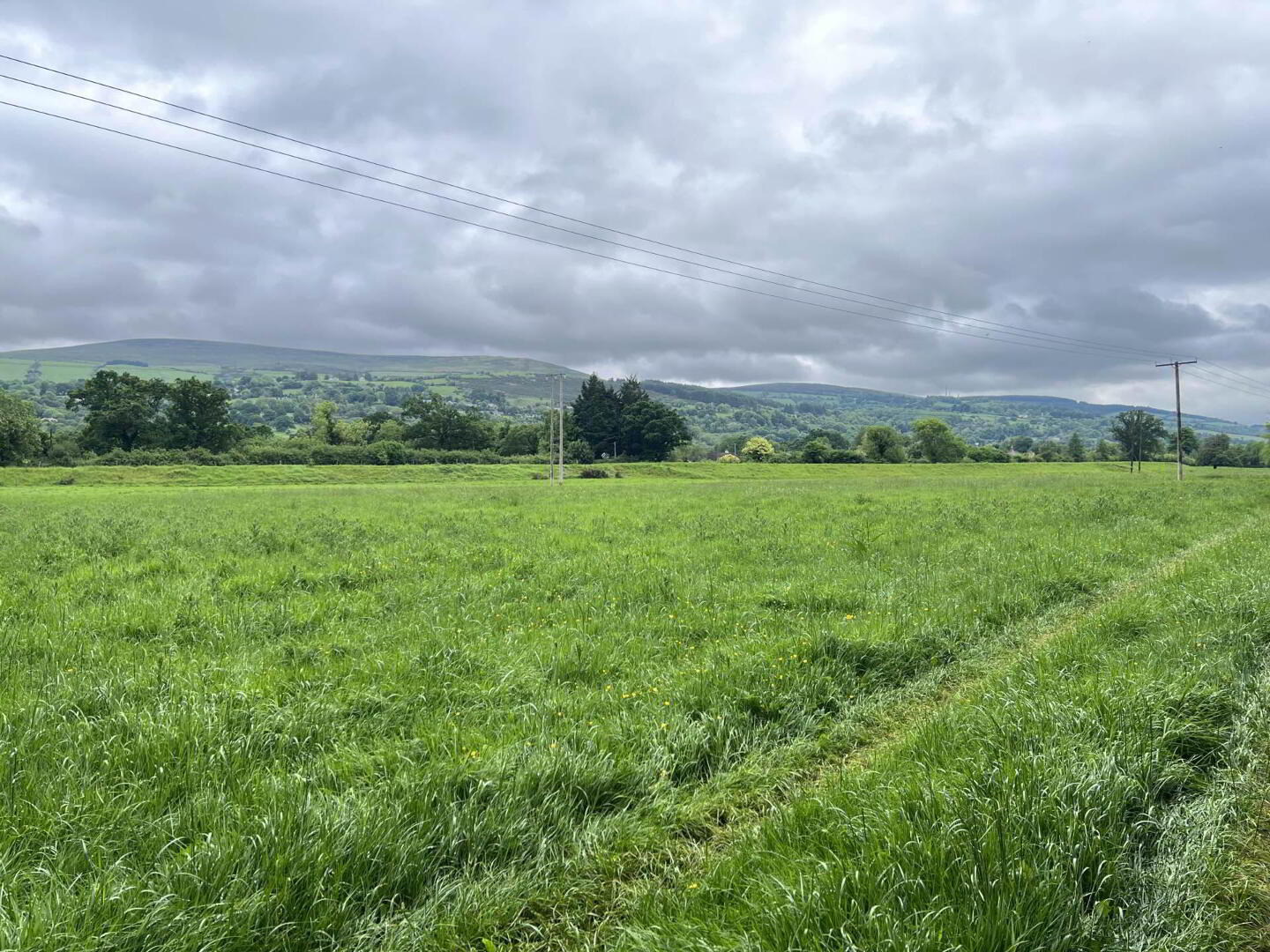 Kilgainey 13 of 19