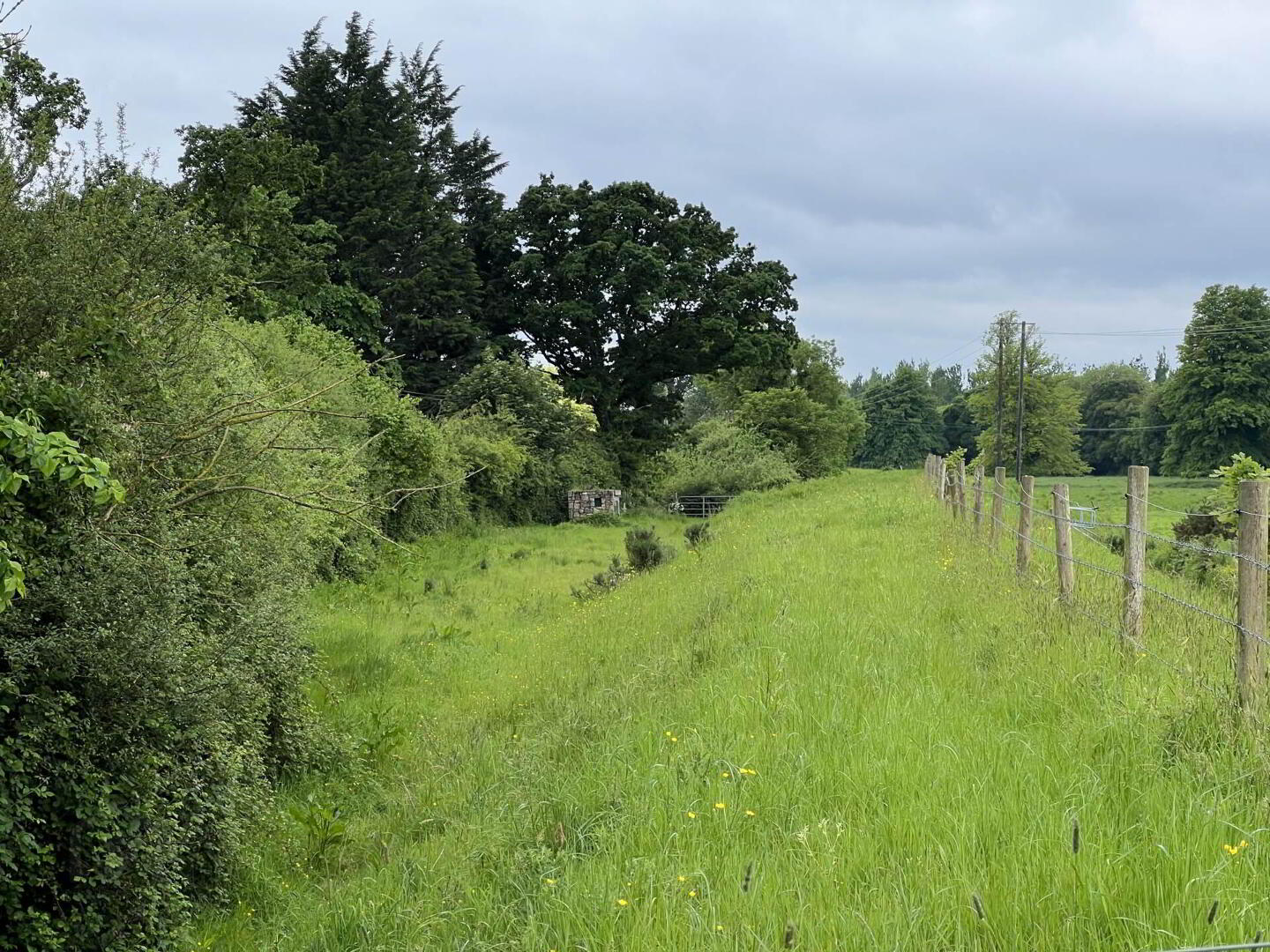 Kilgainey 15 of 19