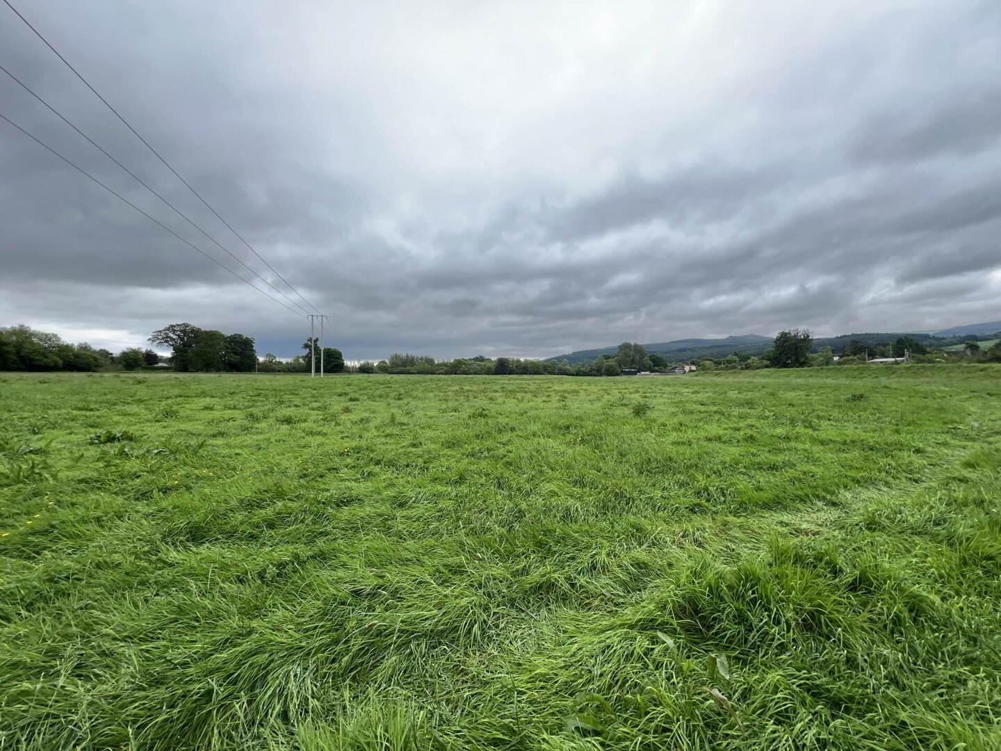 Kilgainey 14 of 19