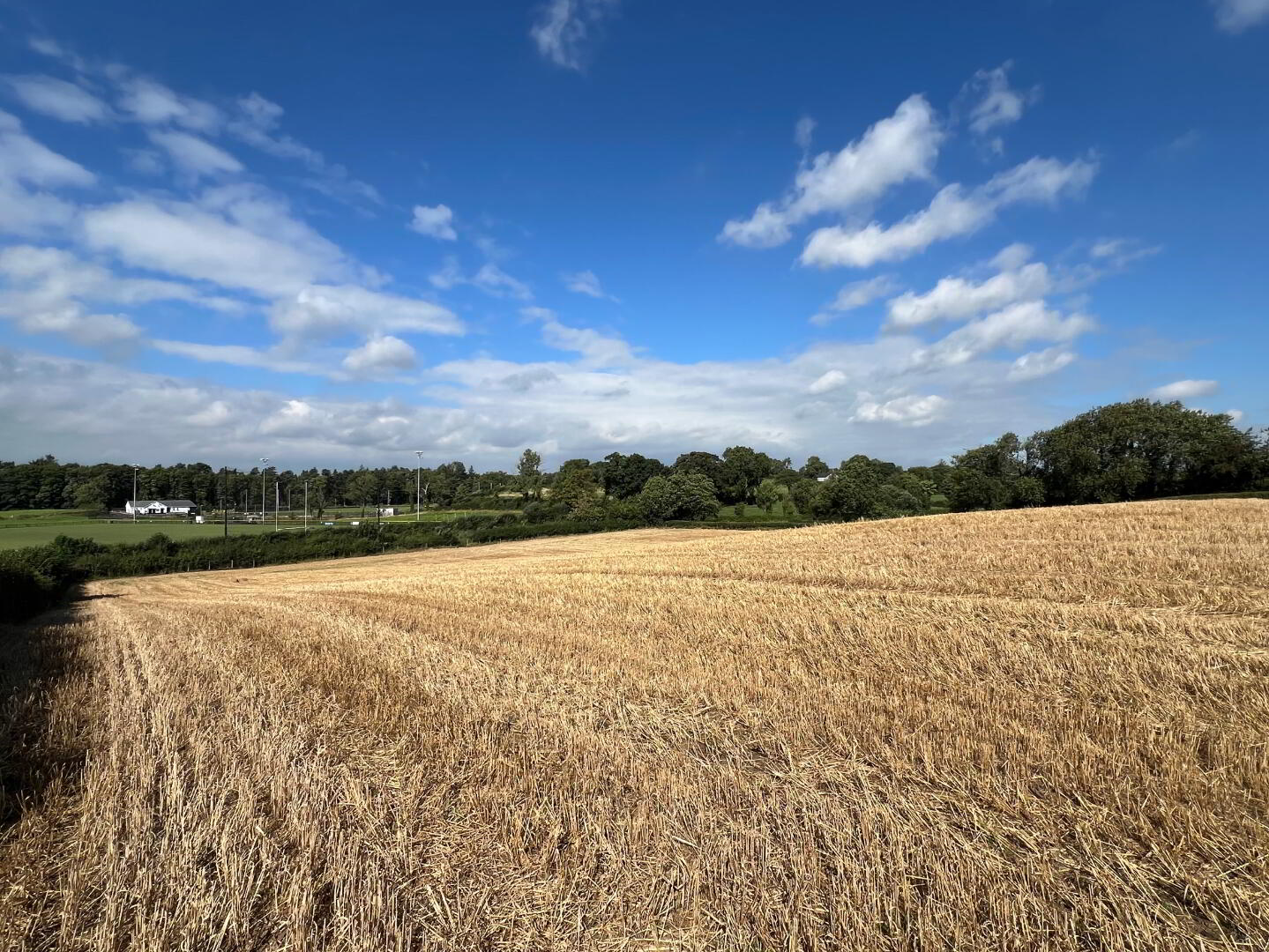 Lot 1, Land Off Townhill Road 3 of 6
