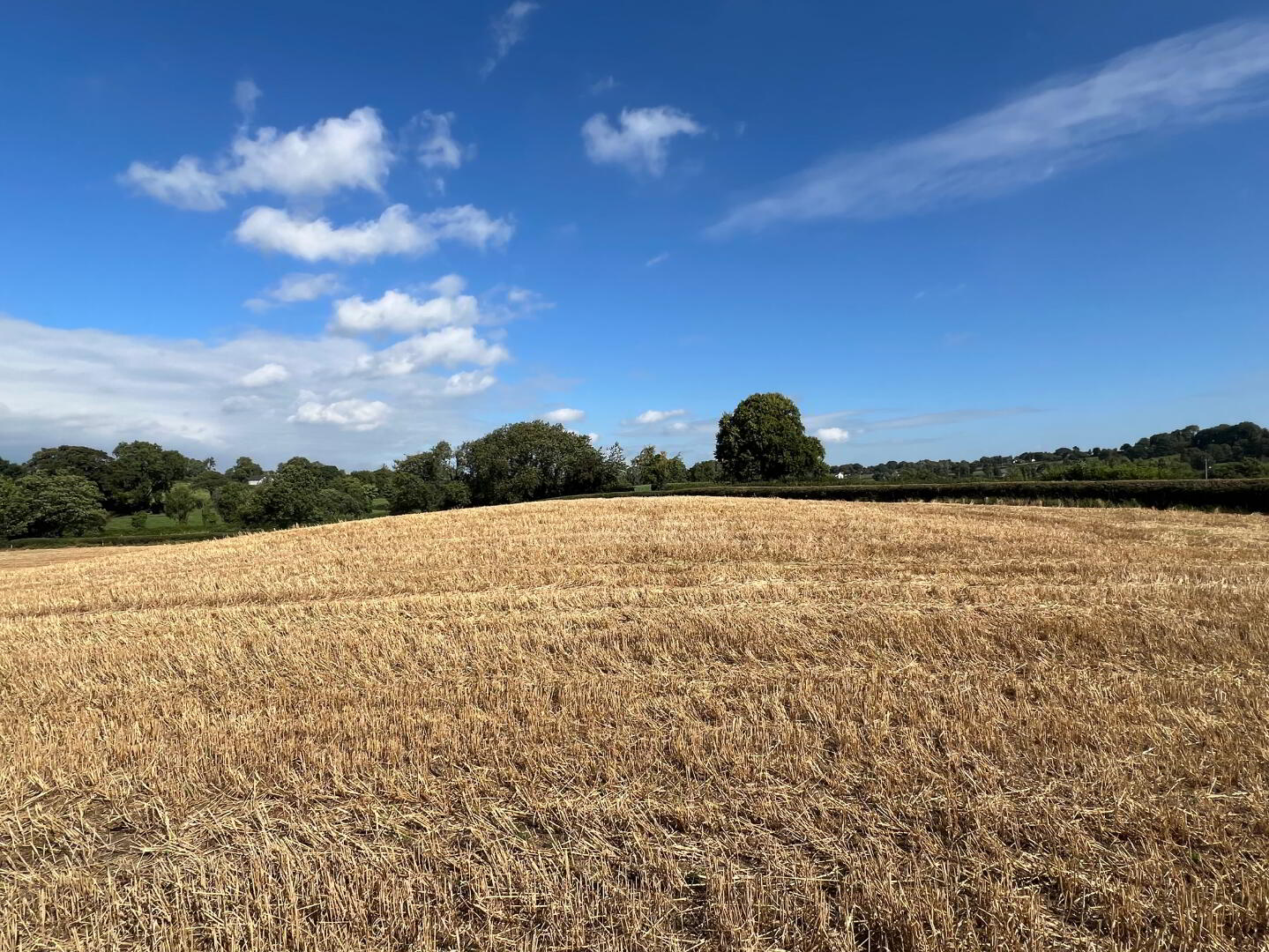 Lot 1, Land Off Townhill Road 4 of 6