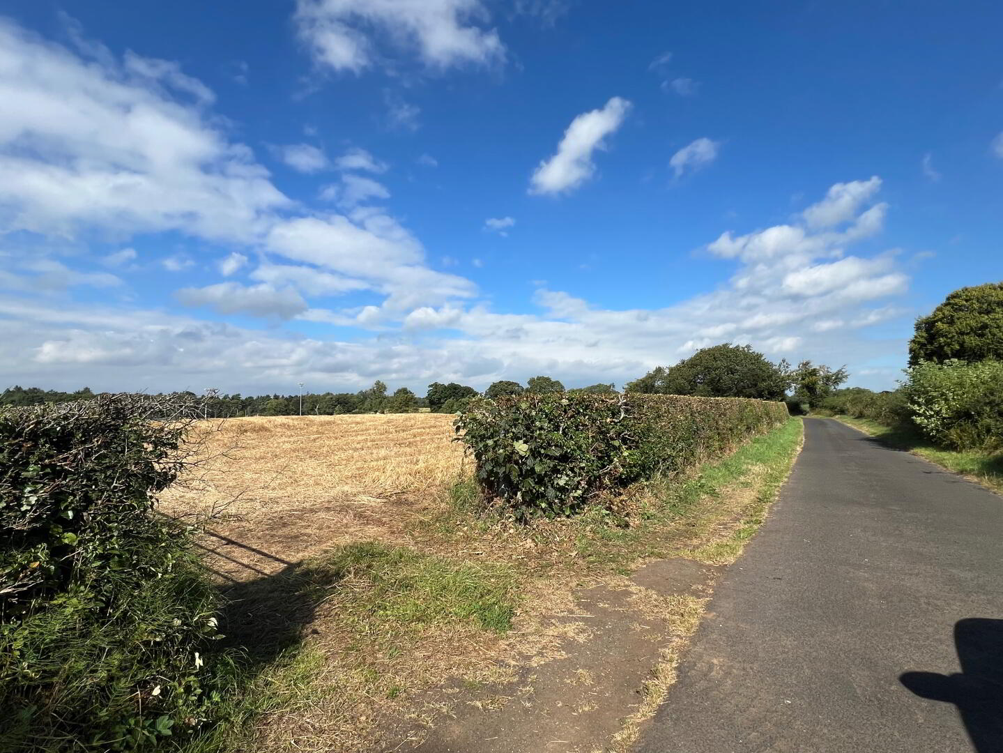 Lot 1, Land Off Townhill Road 6 of 6