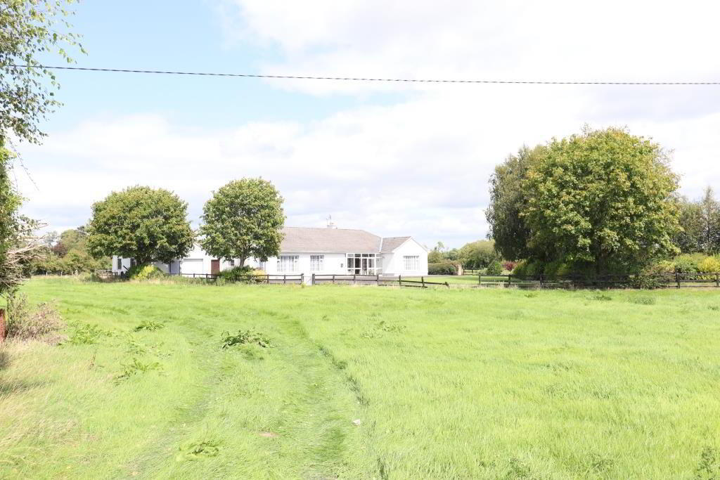 Leacailbhe 9 of 98