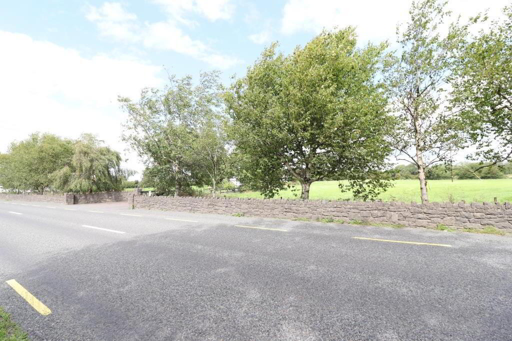 Leacailbhe 13 of 98