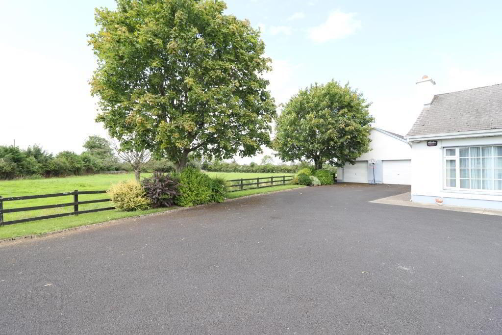 Leacailbhe 15 of 98