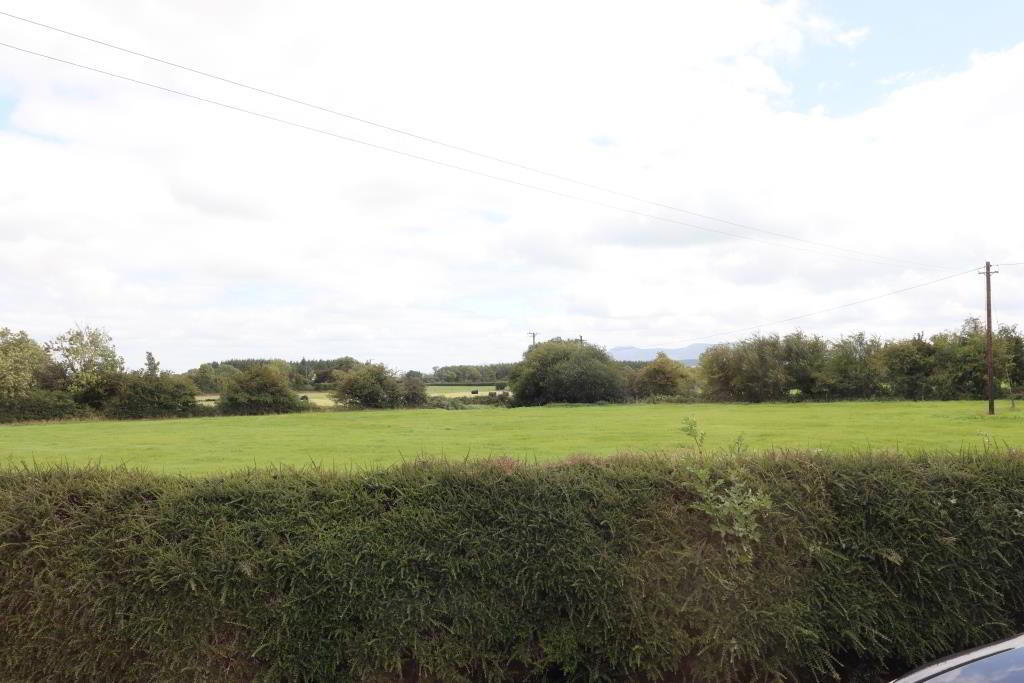 Leacailbhe 34 of 98