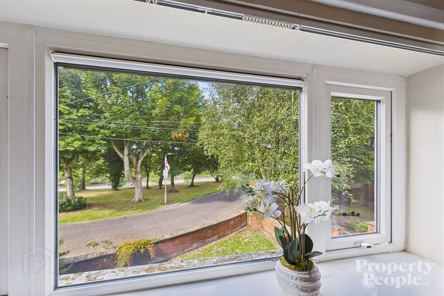 124 Annadale Flats 8 of 19