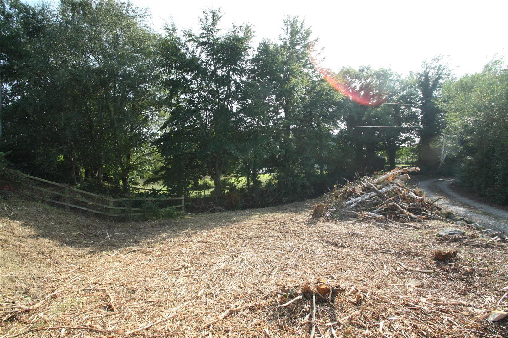 Adj To, 75 Carryduff Road 3 of 11