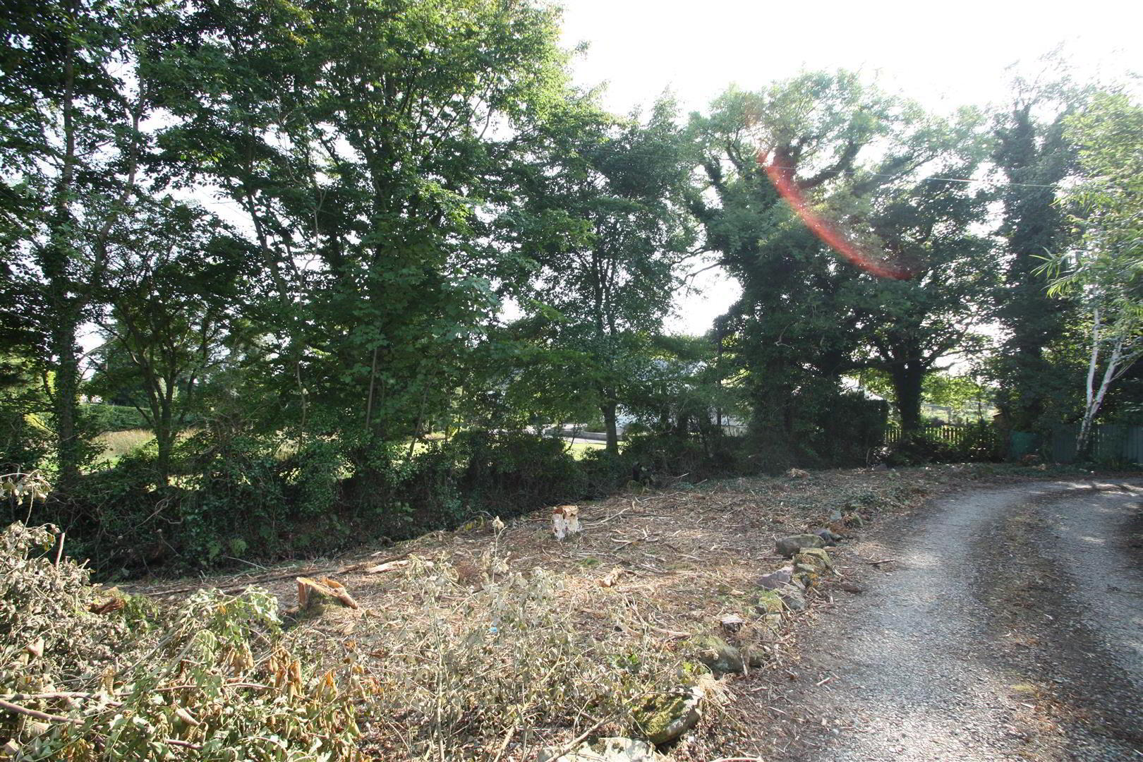 Adj To, 75 Carryduff Road 6 of 11