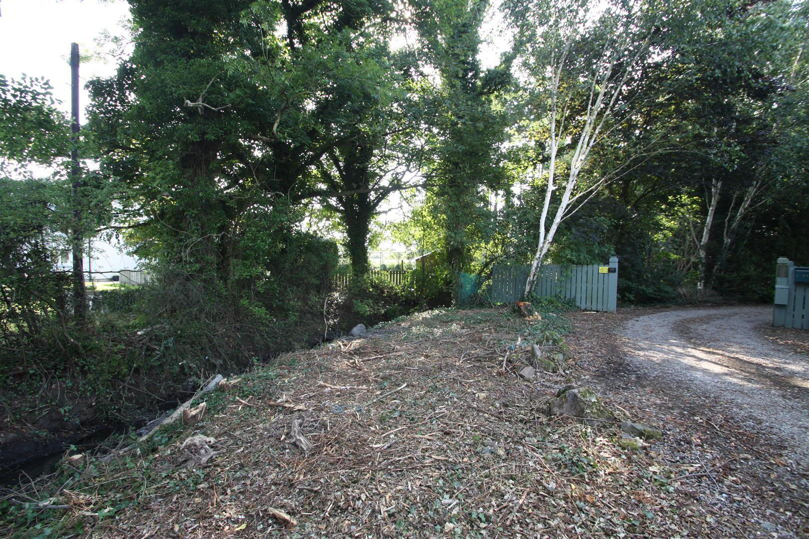 Adj To, 75 Carryduff Road 8 of 11