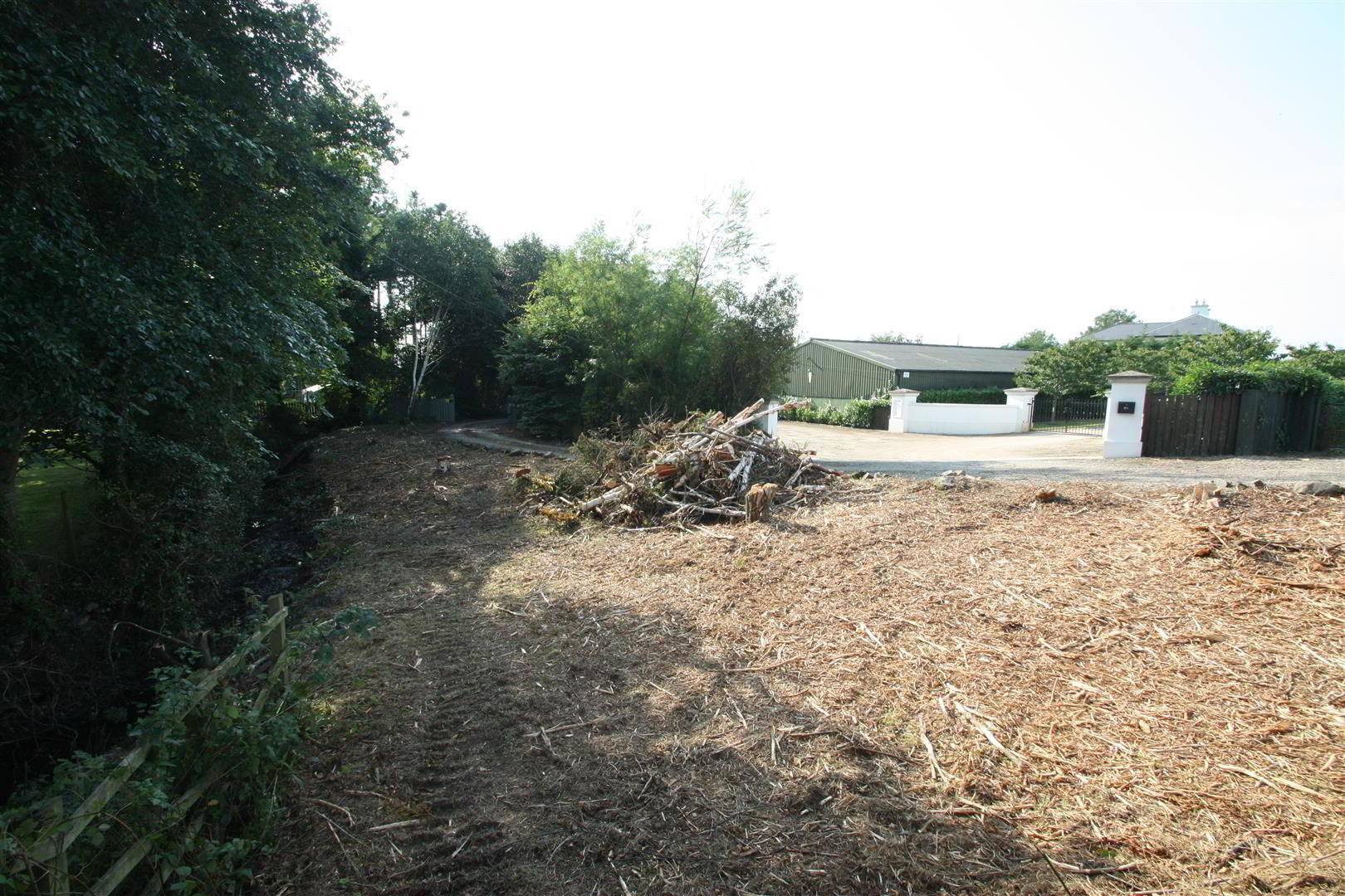 Adj To, 75 Carryduff Road 9 of 11
