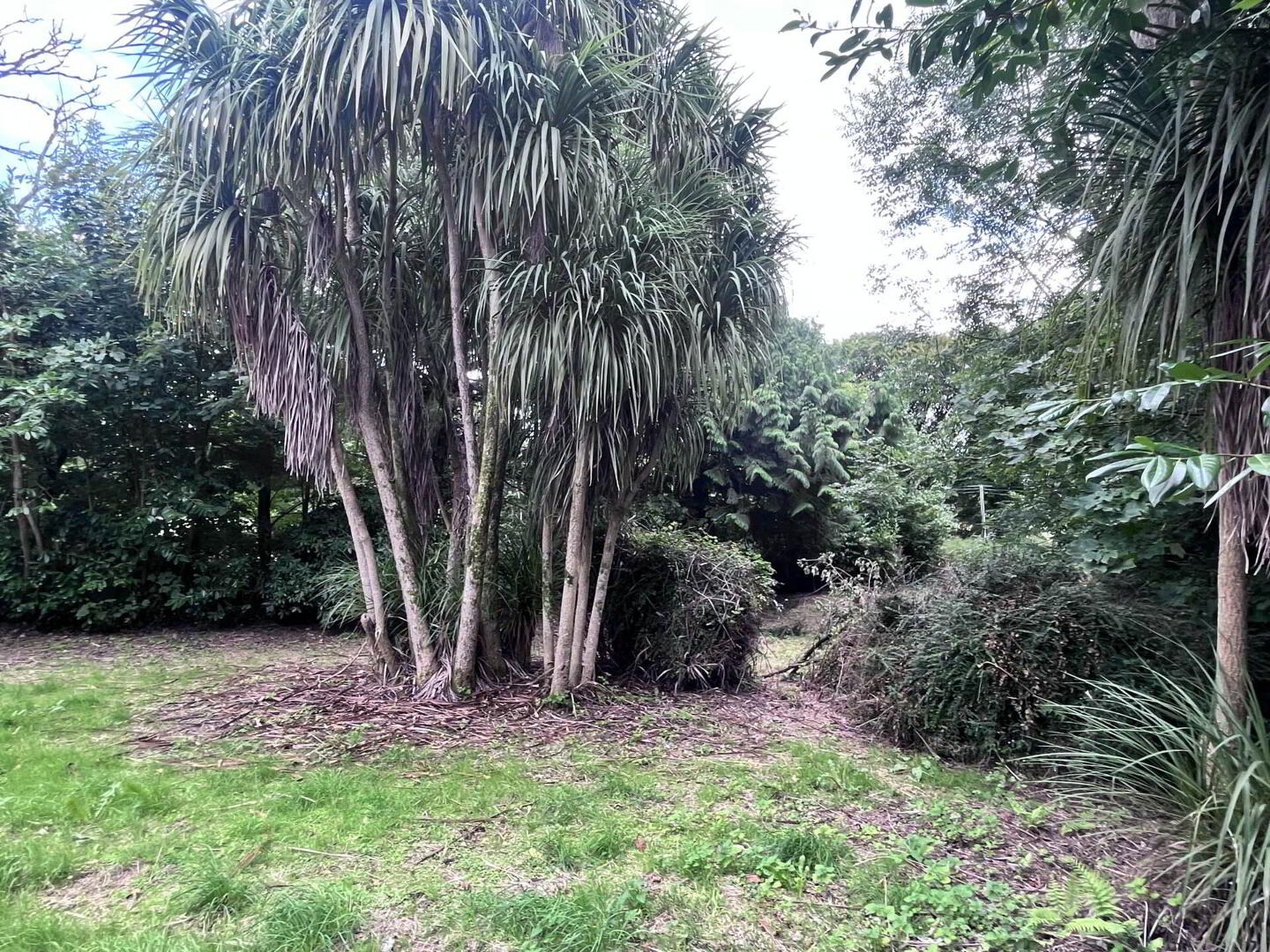 Caherkirky House, Rossmore 19 of 25