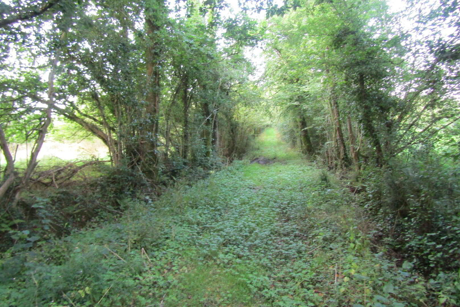 1, Detached Residence On, C. 37 Acres 8 of 11