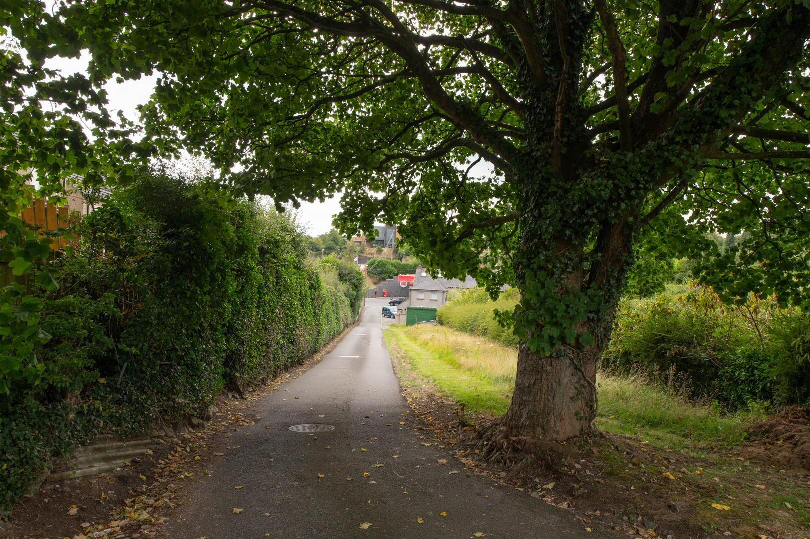 61a Belfast Road 3 of 28