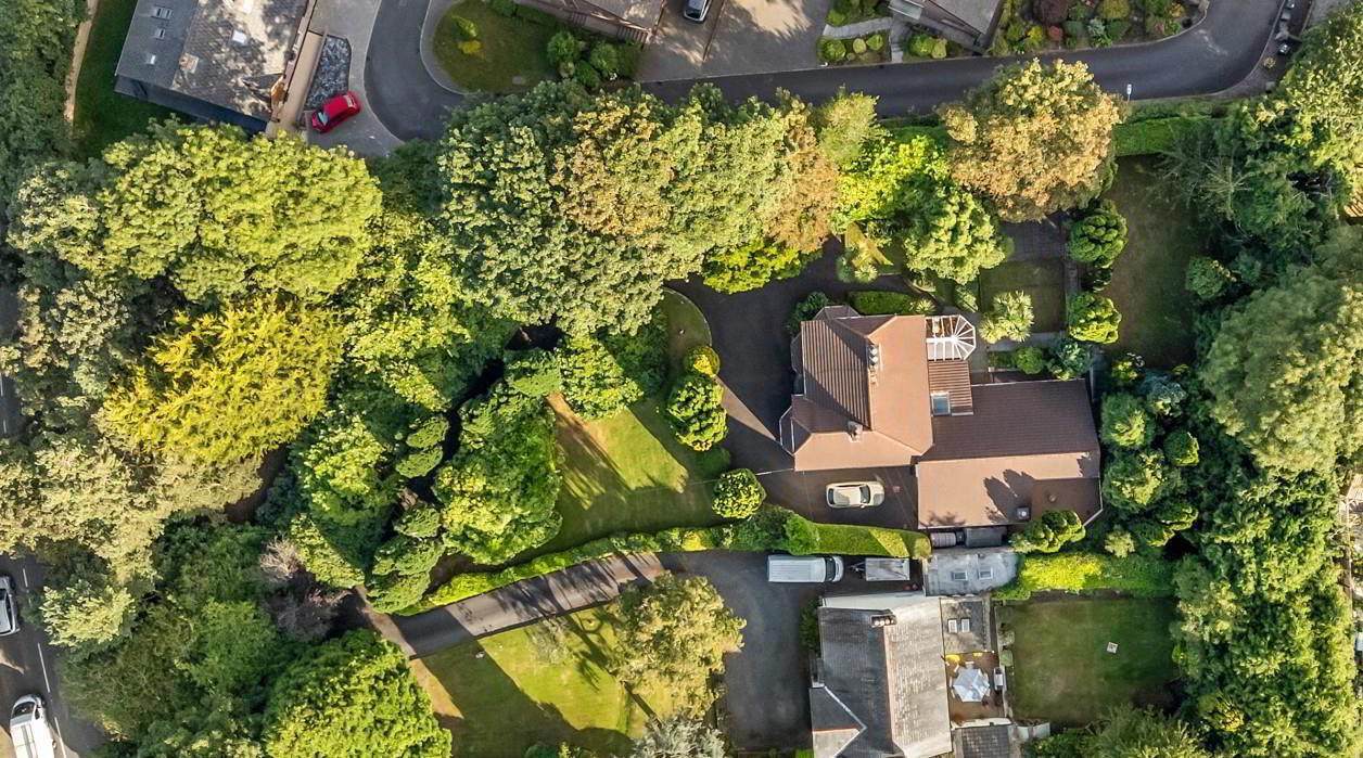 7 Old Dundonald Road 54 of 55