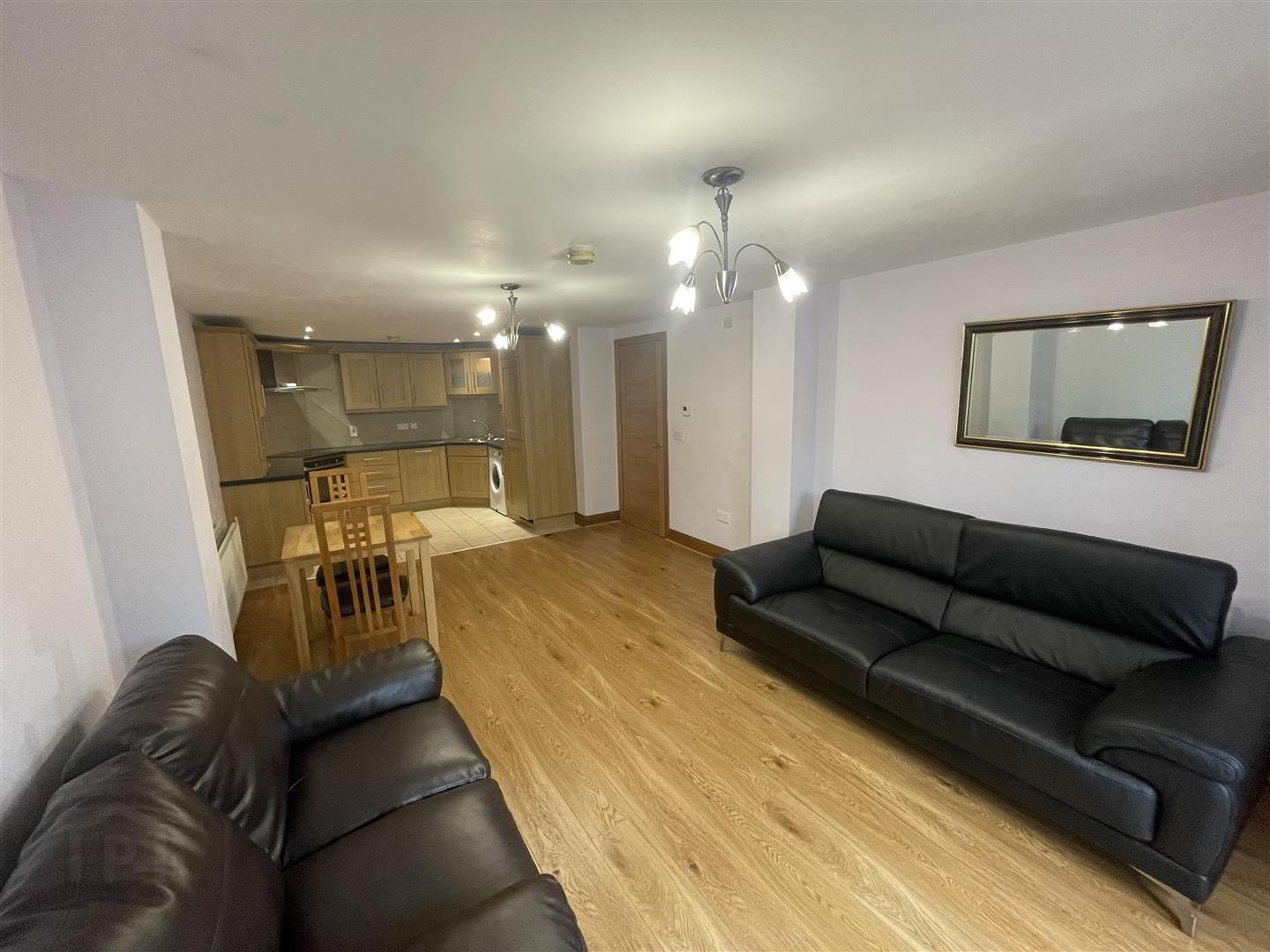 Apt 5, 230 Malone Road 3 of 12