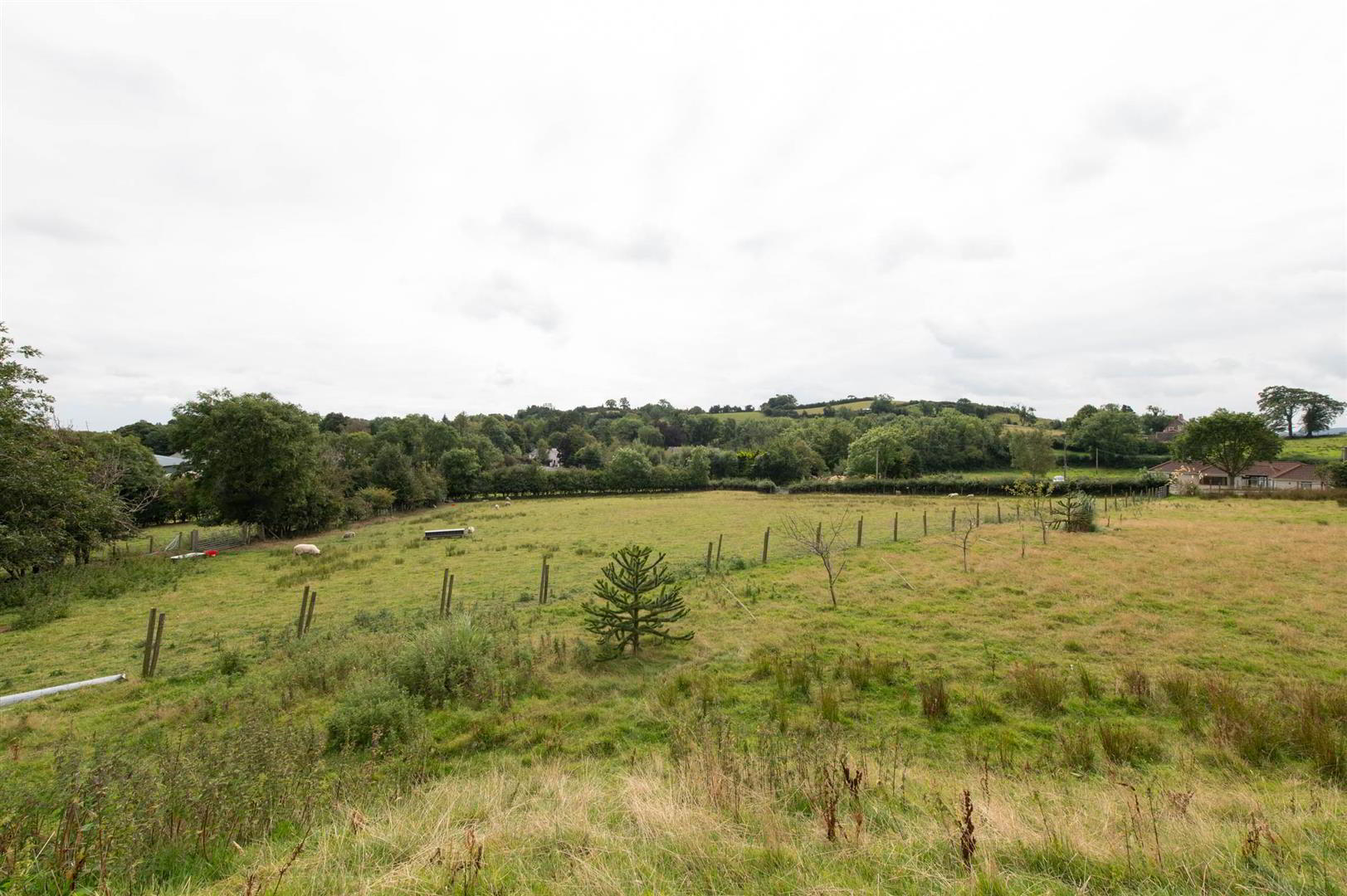 property description image