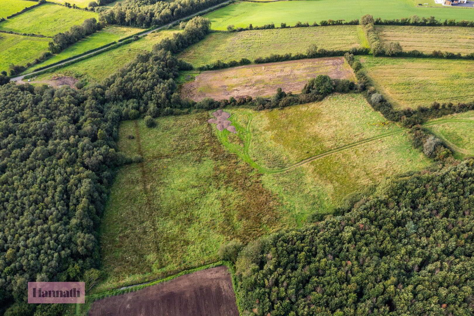 8.5 Acres Approx Land At, 26 Annaghmore Road 7 of 10