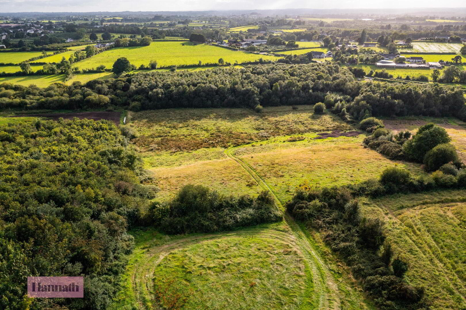 8.5 Acres Approx Land At, 26 Annaghmore Road 6 of 10