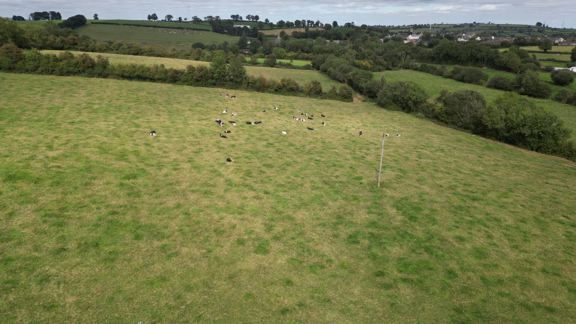 Roughan Road 6 of 13