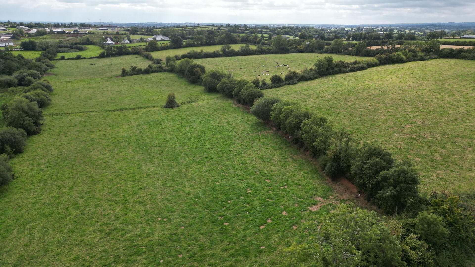 Roughan Road 8 of 13