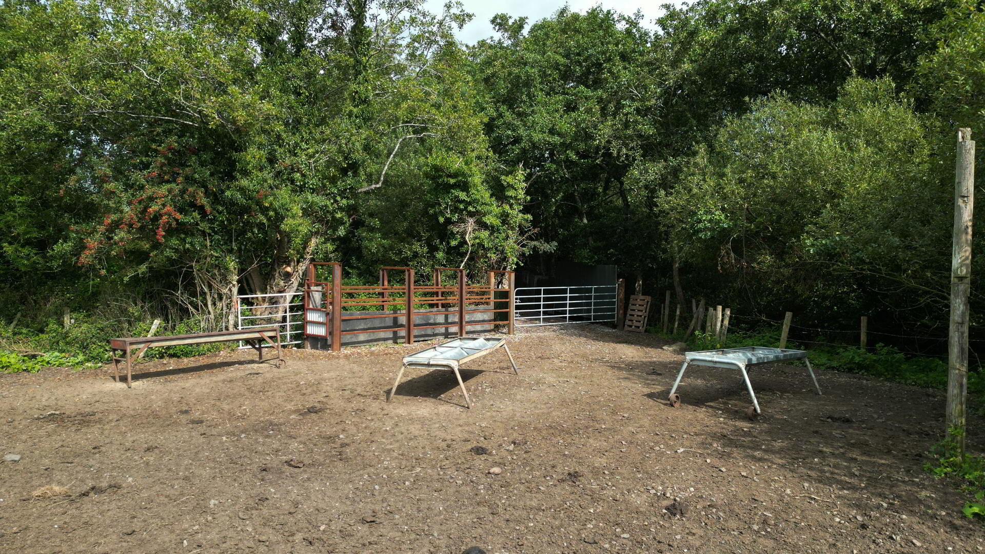 Roughan Road 9 of 13