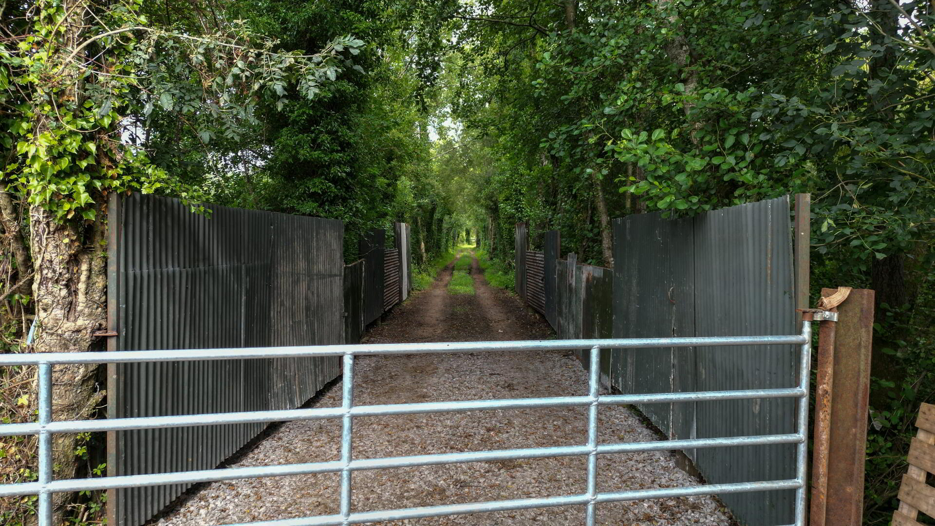 Roughan Road 10 of 13
