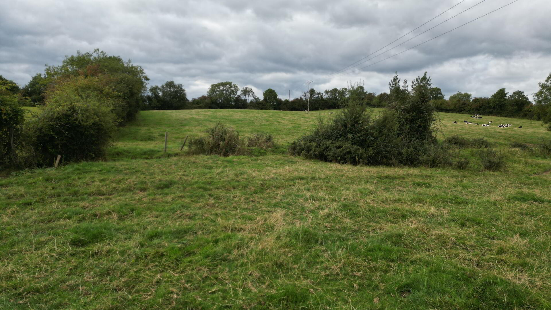Roughan Road 11 of 13