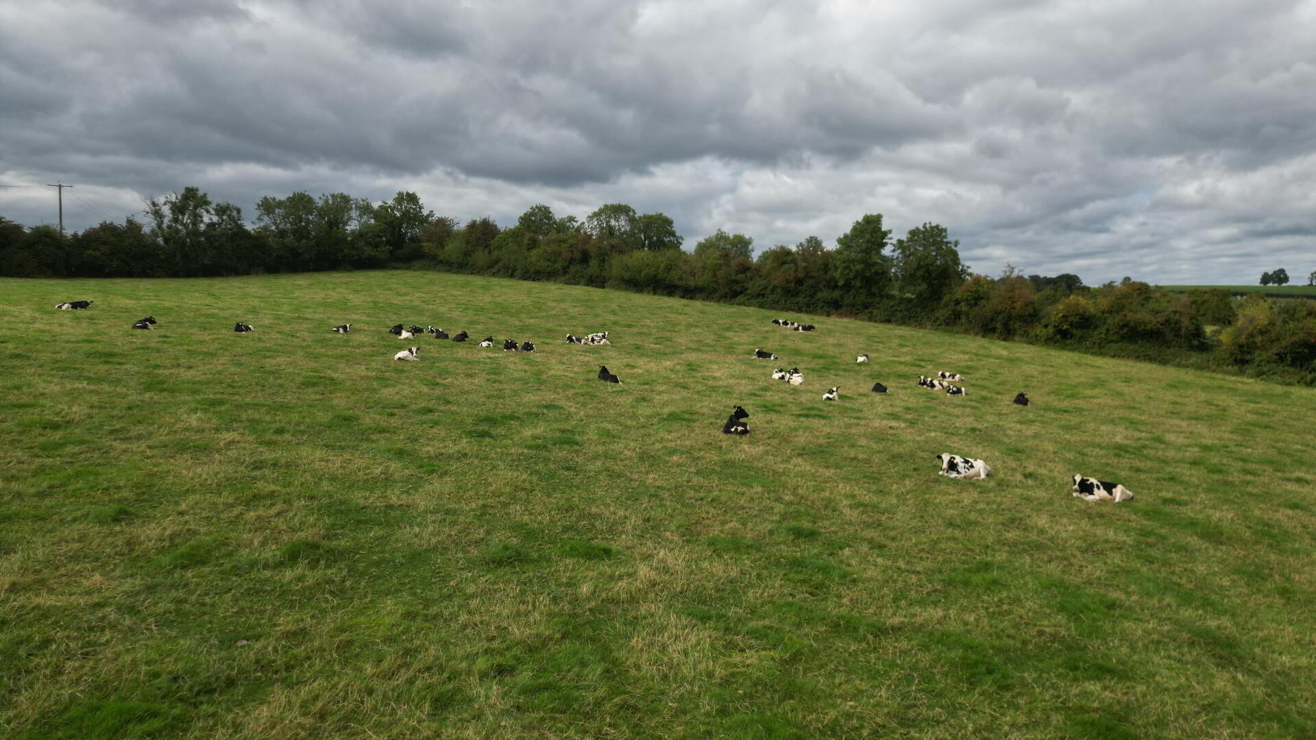 Roughan Road 12 of 13
