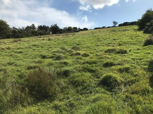 property description image