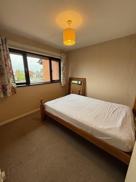 69 Upper Malone Road 5 of 7