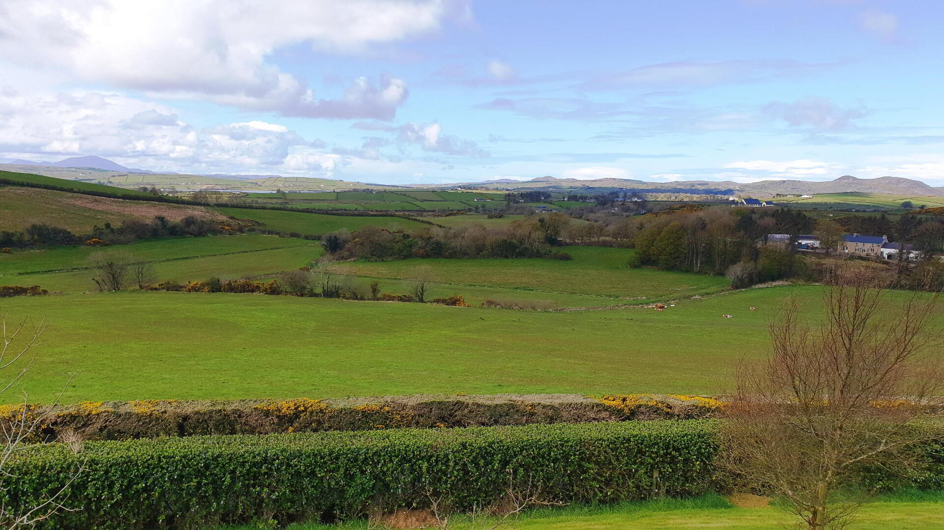 Aghadreenan 3 of 15