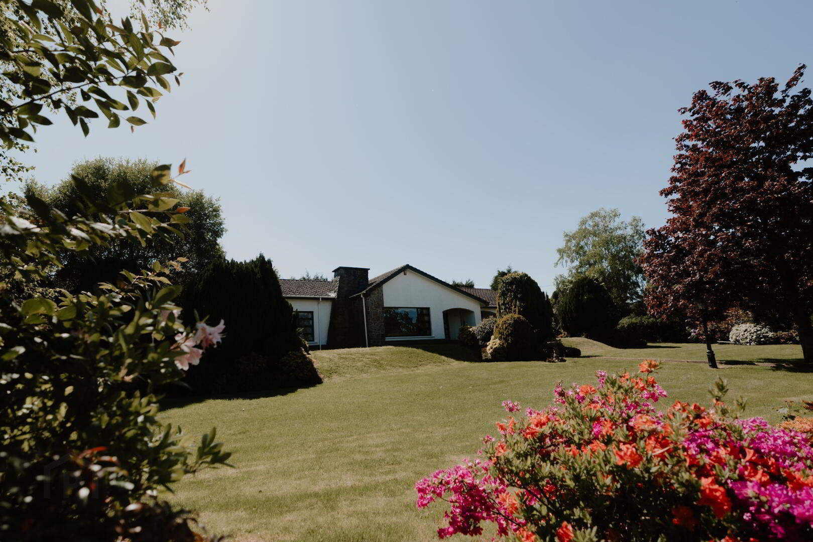 82 Banbridge Road 39 of 52