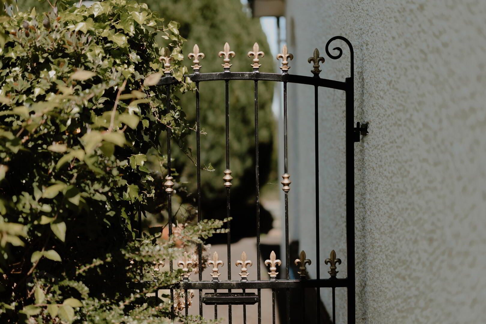 82 Banbridge Road 41 of 52